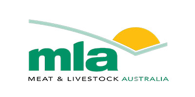 MLA