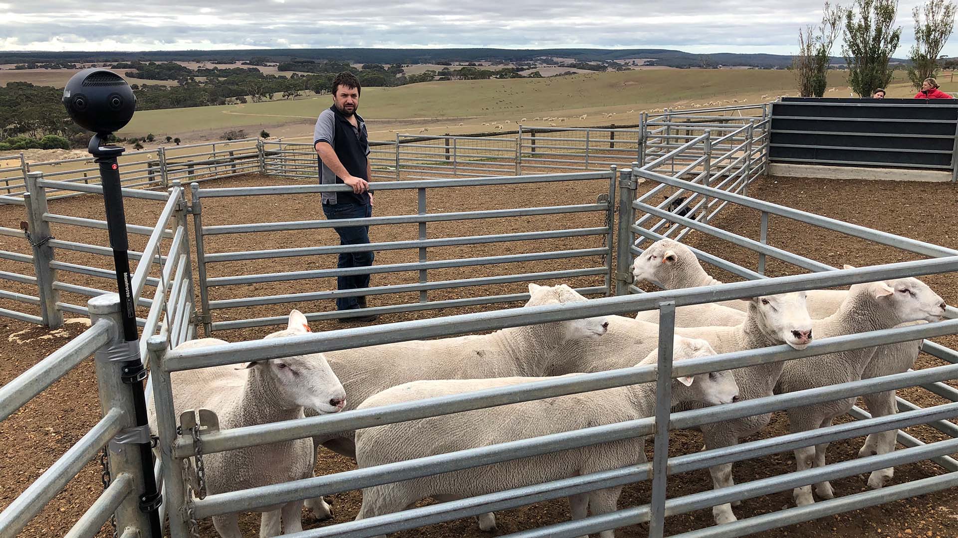 Virtual reality and augmented reality in agriculture