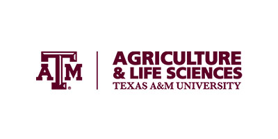 Texas A&M