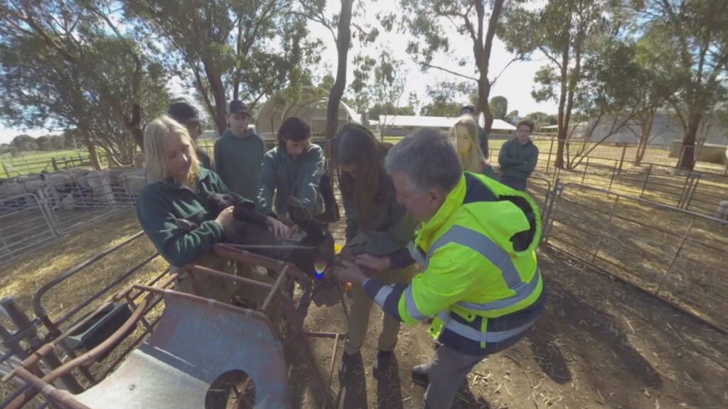 Ag, Food & Fibre Industry