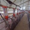 virtual farm tours