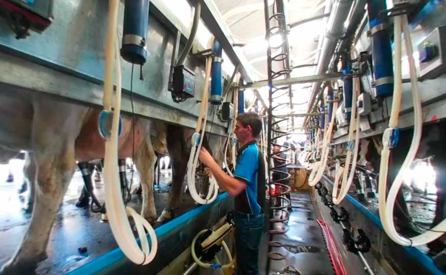 Dairy Virtual Reality