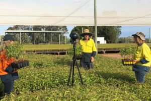 360-video-production-agriculture-forestvr-4