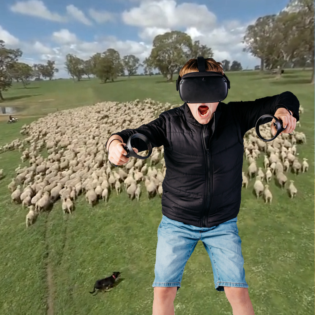 Lamb VR - Paddock to Plate