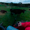 TractorVR3 Tractor Ride VR