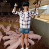 Pig Production - Conception to Early Life