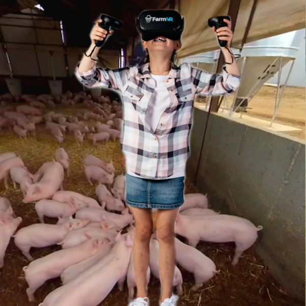 Pig Production - Conception to Early Life