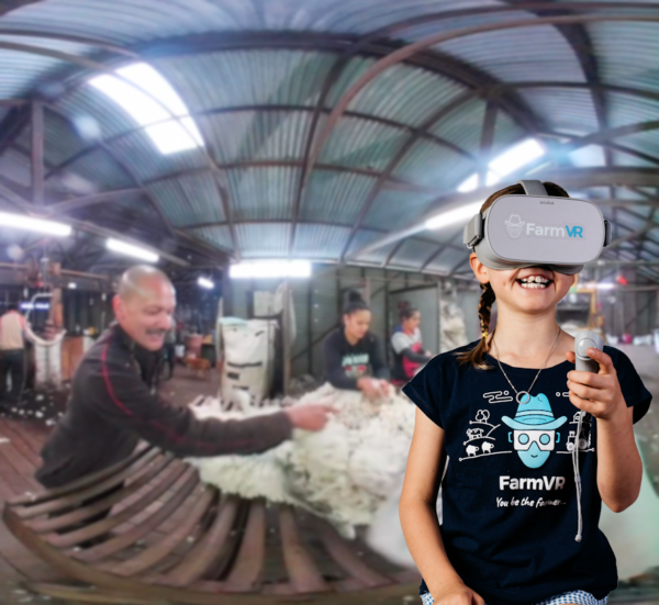 Shearing Experience