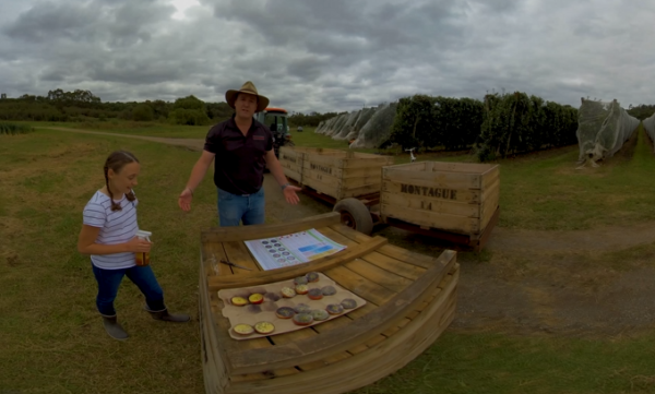 apples4 Apples VR