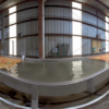 apples5 Apples VR
