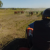 beef3 Beef Paddock to Plate