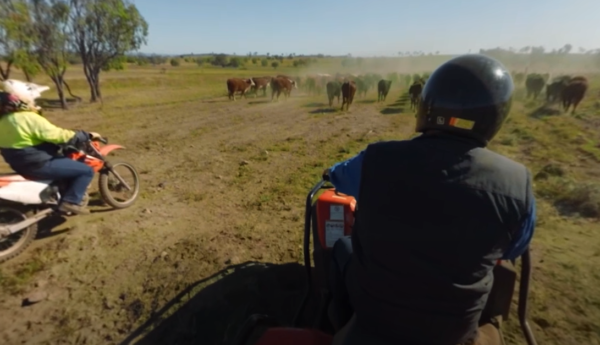 beef3 Beef Paddock to Plate