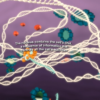 vpc2 Virtual Plant Cell: Explore